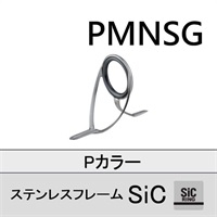 ステンレスSiC 両足ガイド／PMNSG 8